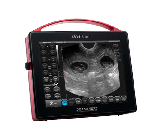 Portable Animal Ultrasound Machines | ExamVue Digital