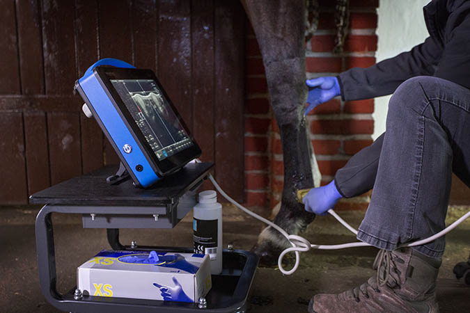 5 Ways To Maximize the ROI on Your Veterinary Ultrasound Equipment