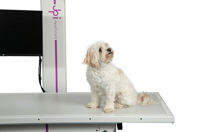 ExamVue Veterinary Installs Digital X-ray System in Tennessee