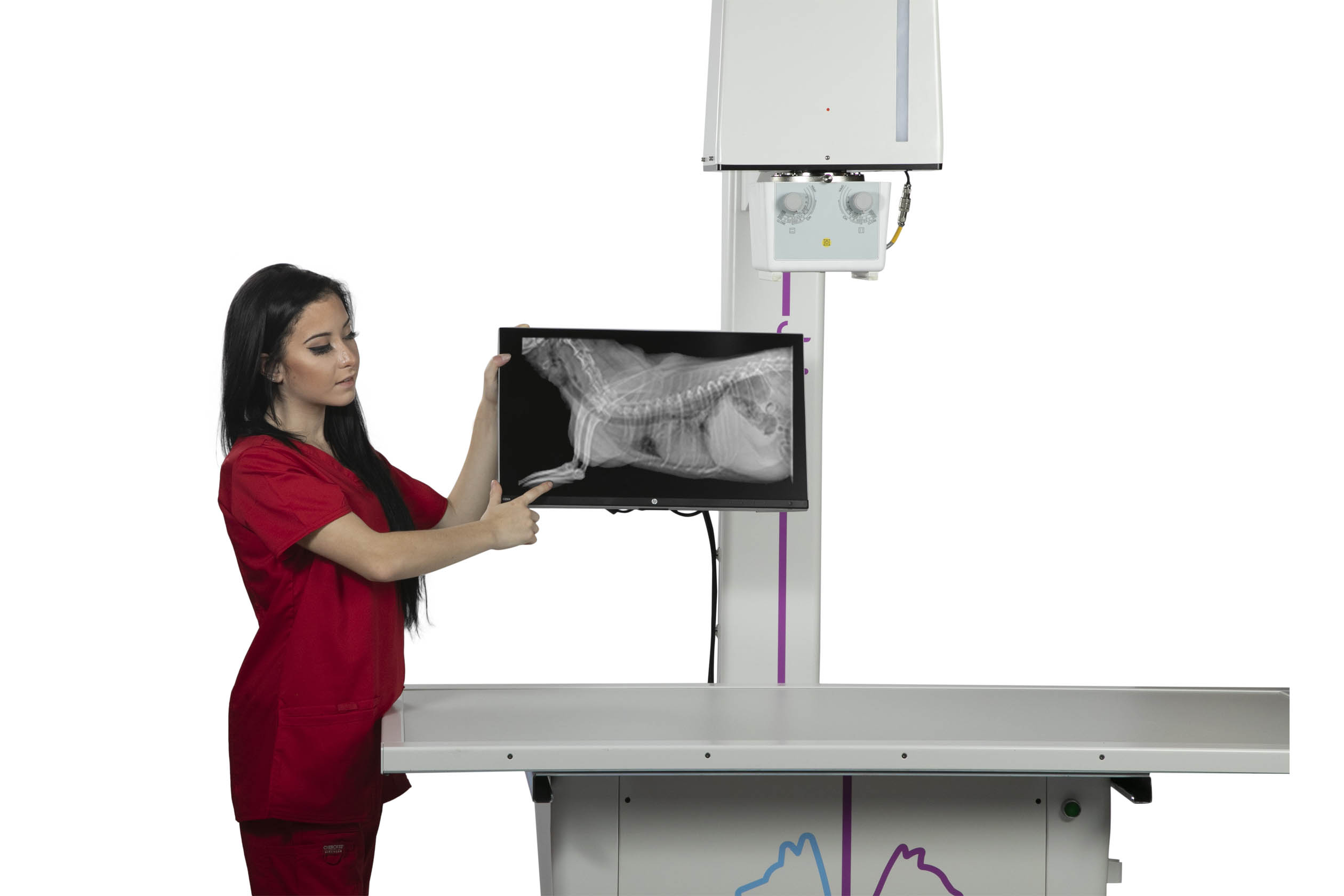 DynaVue Digital Veterinary Fluoroscopy & X-Ray System