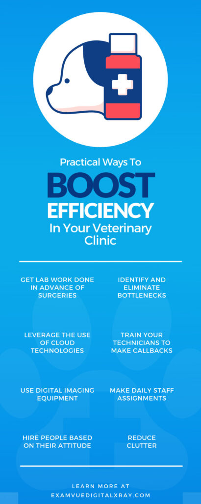 Practical Ways To Boost Efficiency in Your Veterinary Clinic
