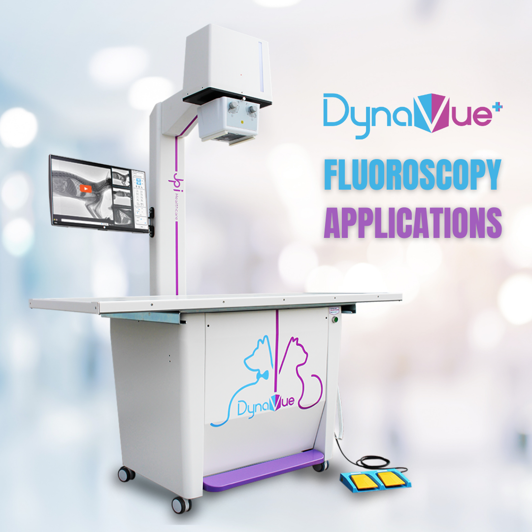 Applications of Fluoroscopy in Veterinary General Practice