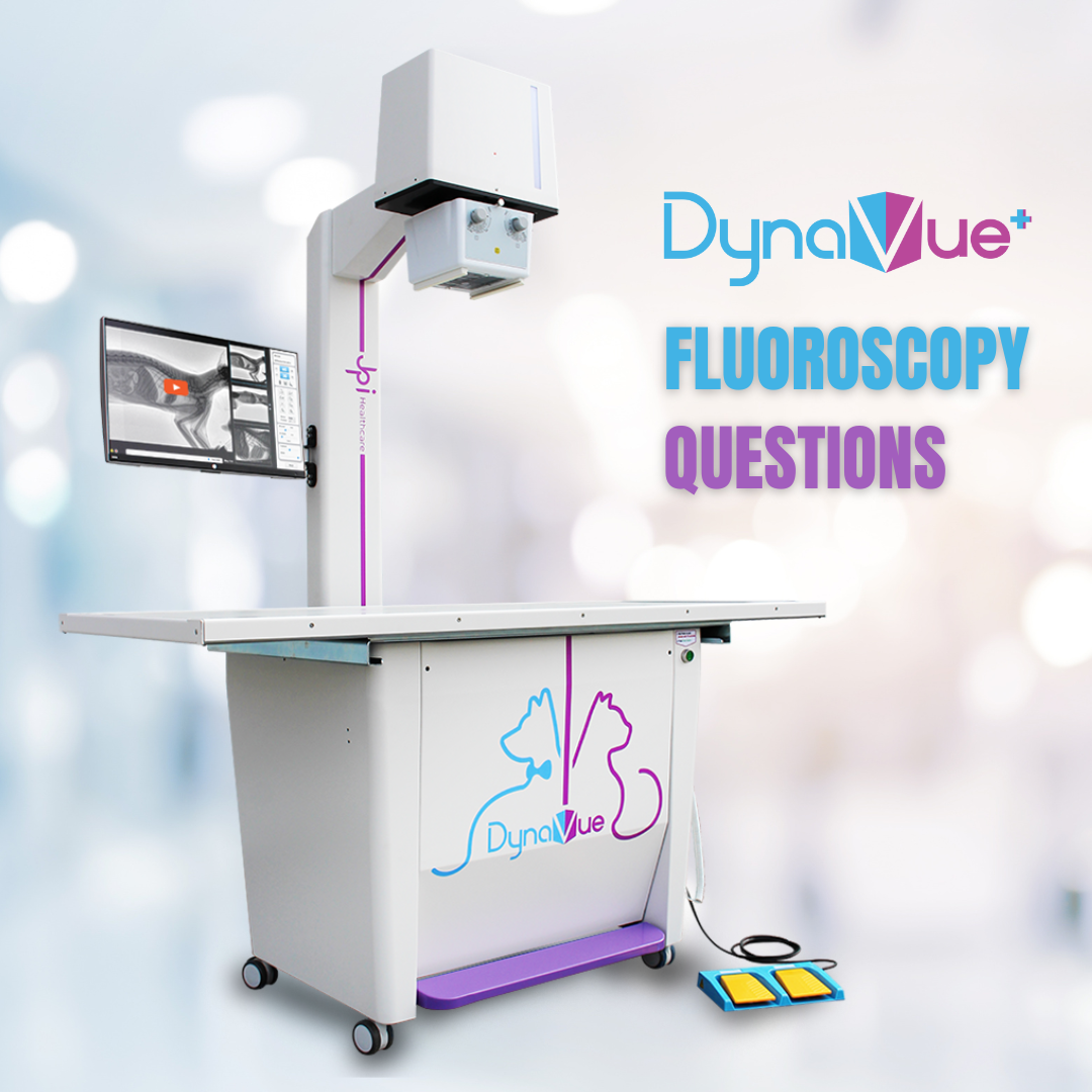 Veterinary Fluoroscopy on the DynaVue
